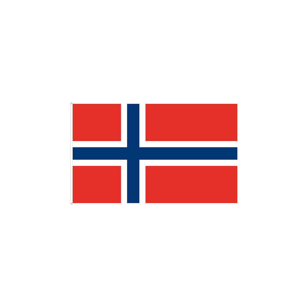 FLAGGA NORGE 120CM